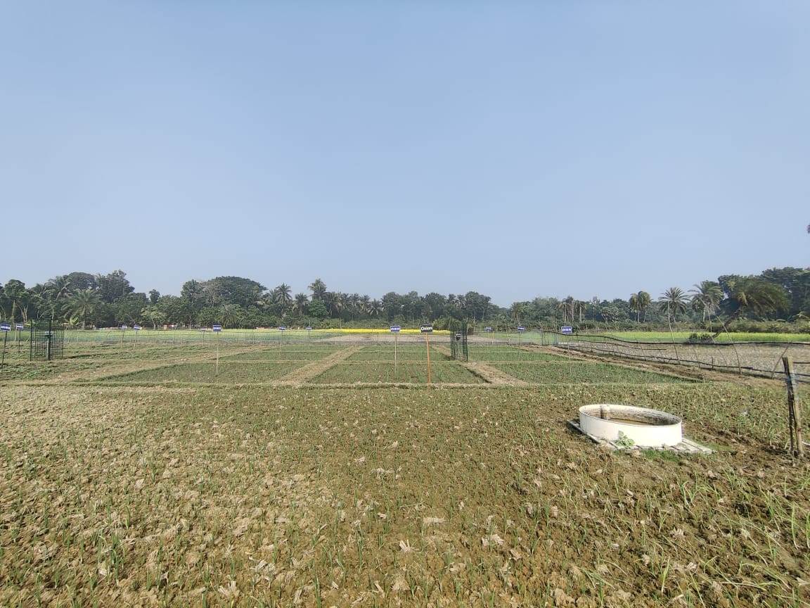 Manikganj Integrated Research Unit