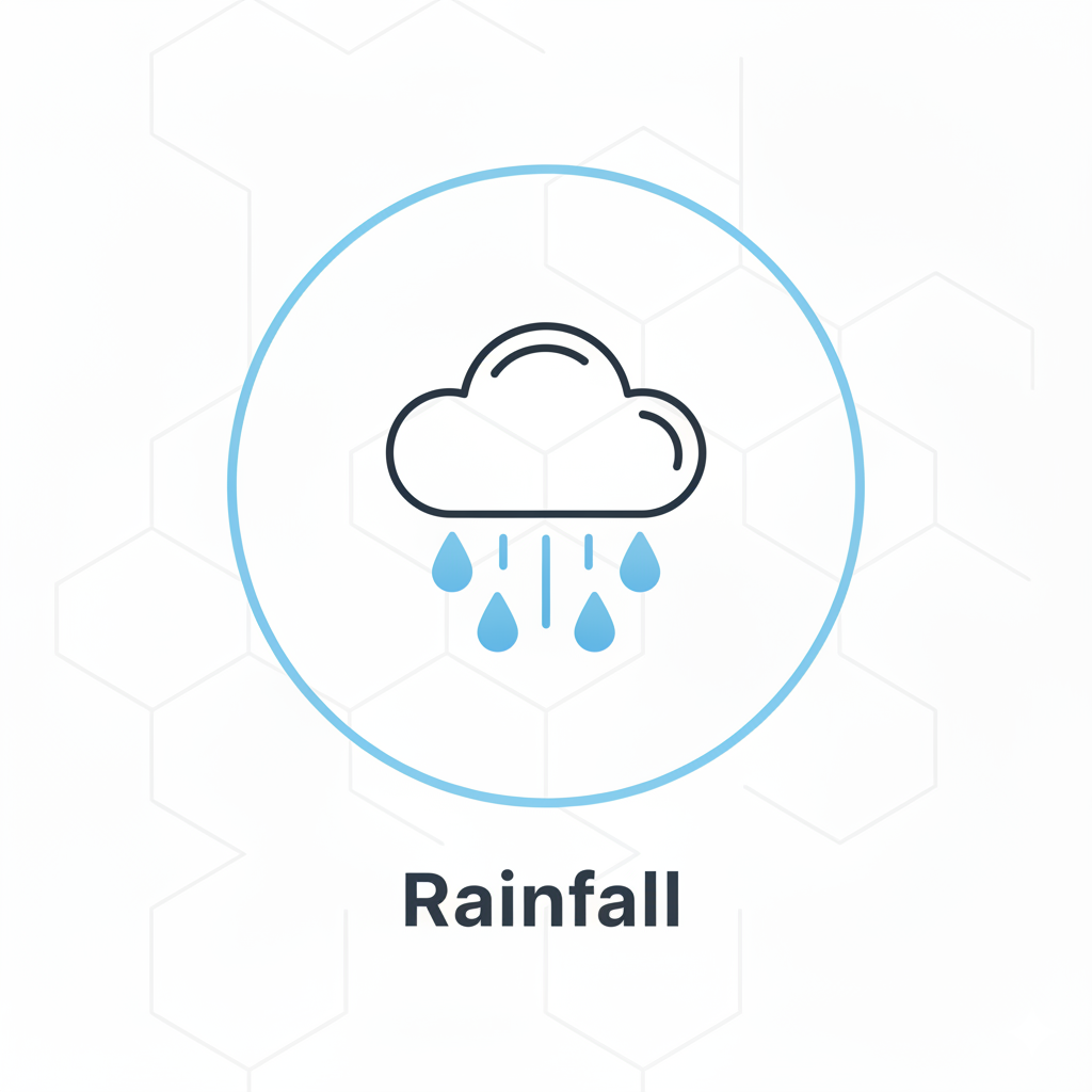 Rainfall